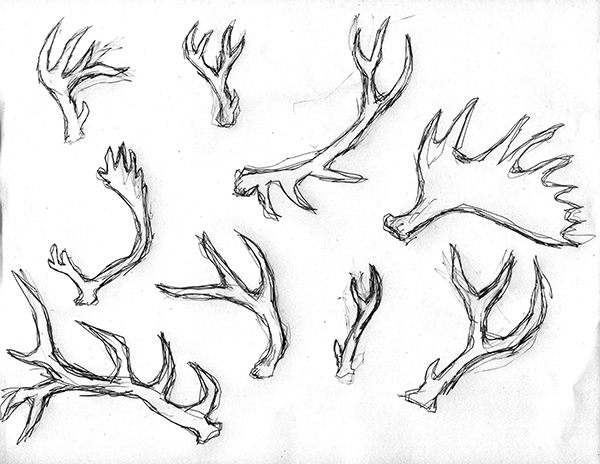 Antlers Process Sketch