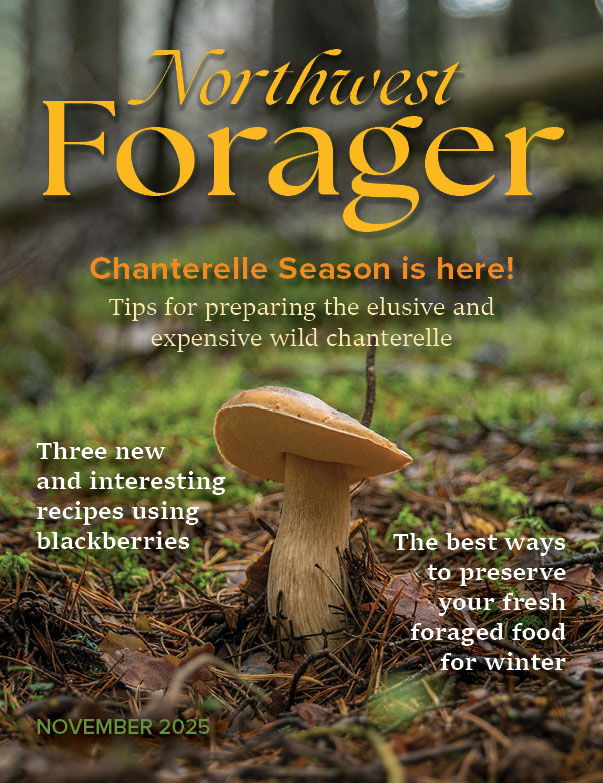 Northwest Forager cover